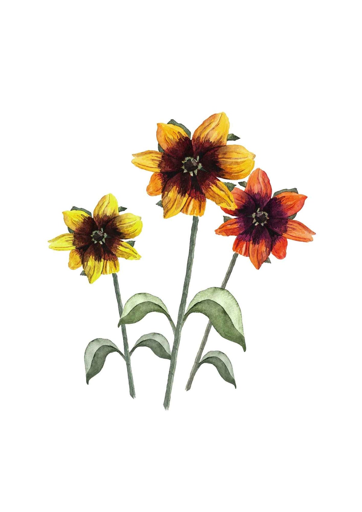 Blomster i farver