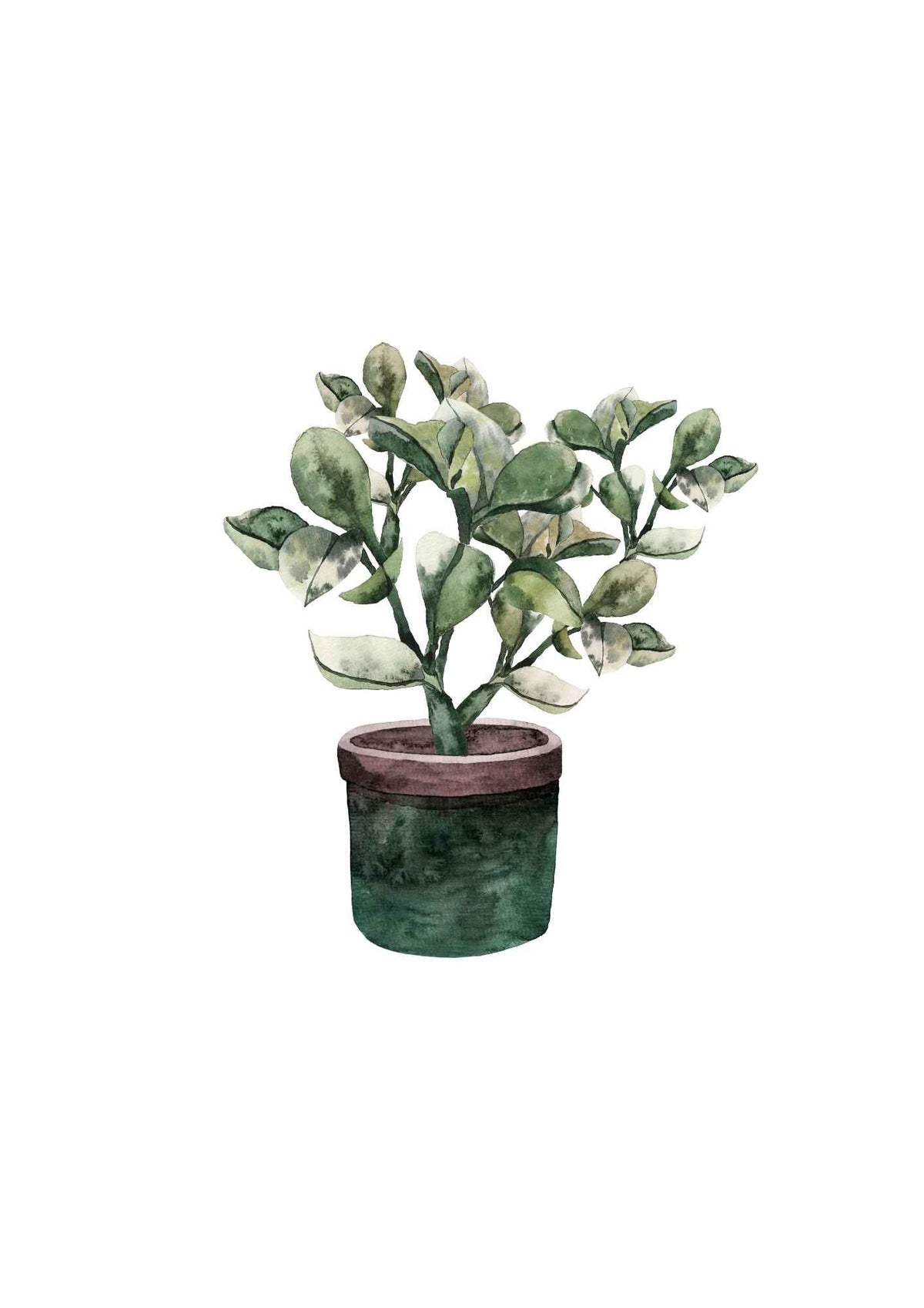 Grøn plante