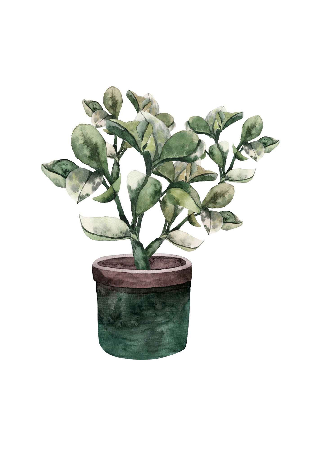 Grøn plante