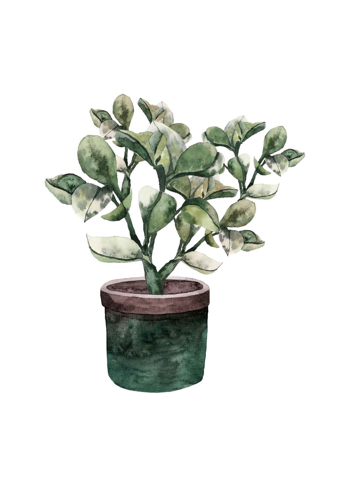Grøn plante