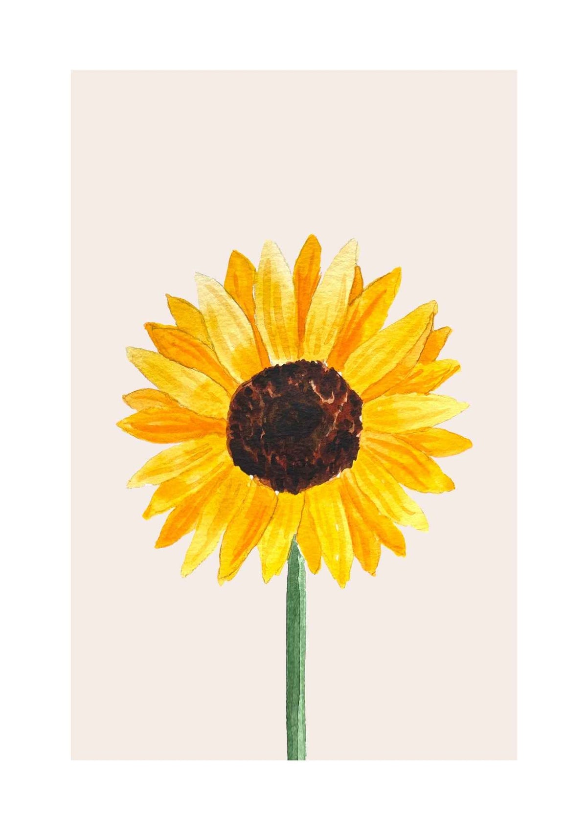 Solsikke blomst
