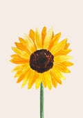 Solsikke blomst