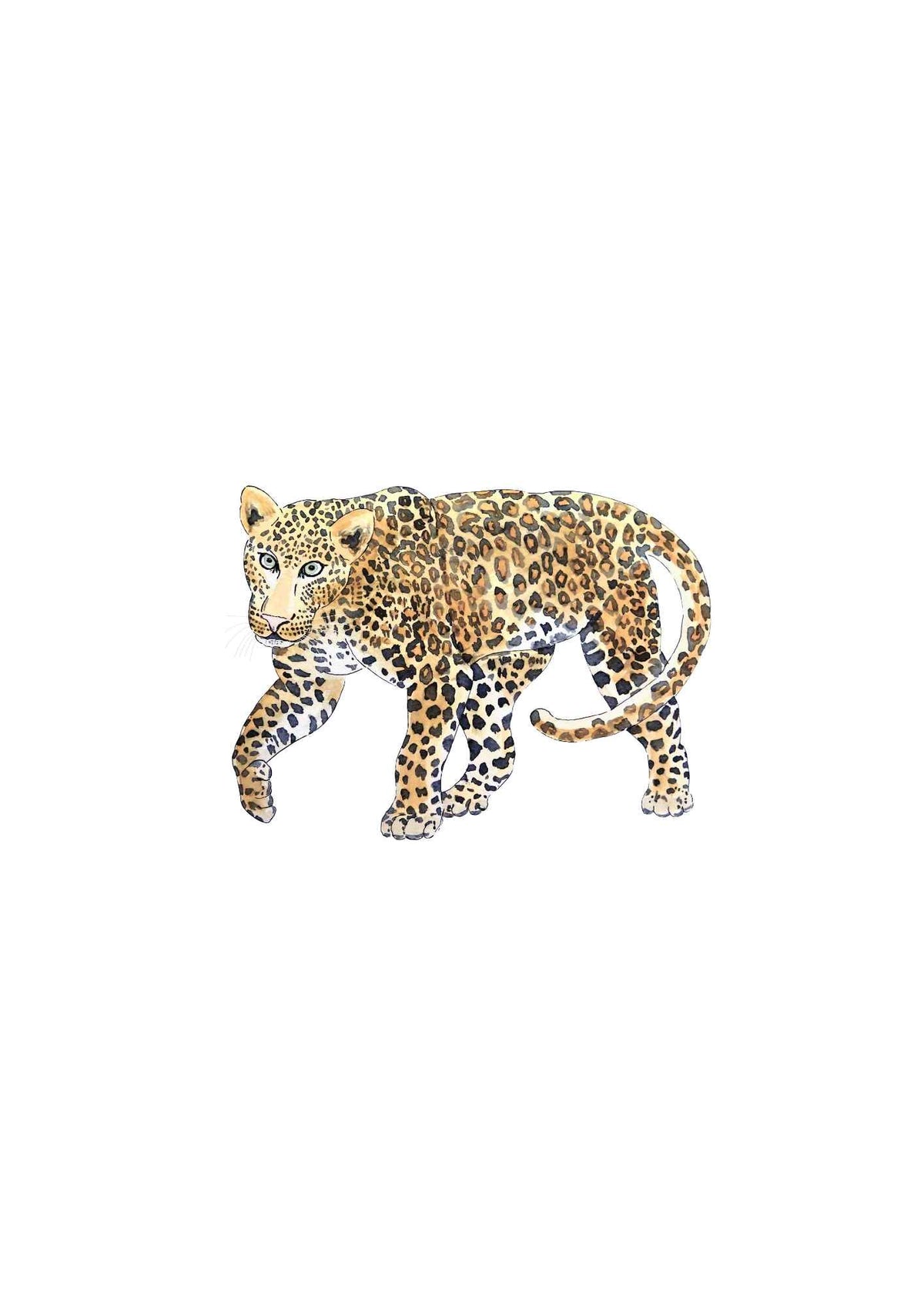 Leopard i bevægelse