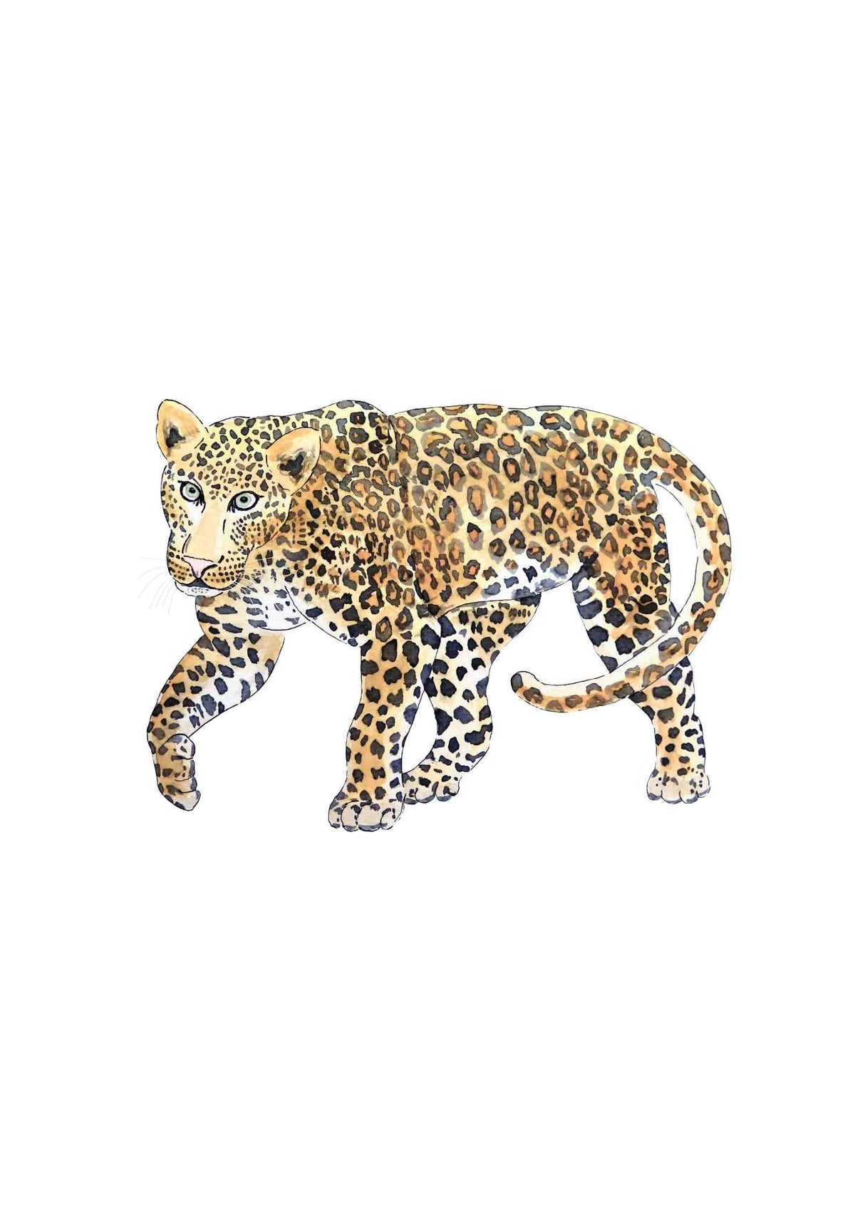 Leopard i bevægelse