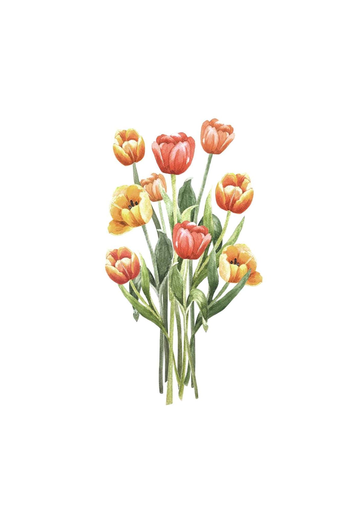 Tulipaner i buket