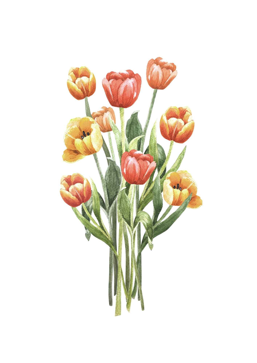 Tulipaner i buket