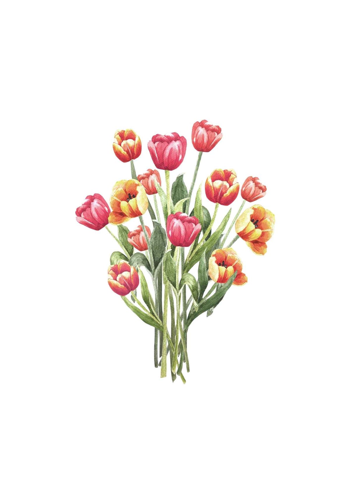 Tulipaner bouquet