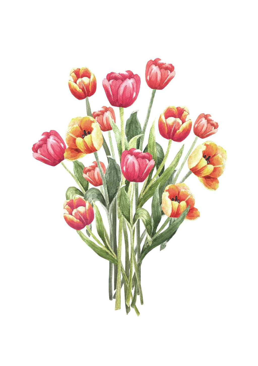 Tulipaner bouquet