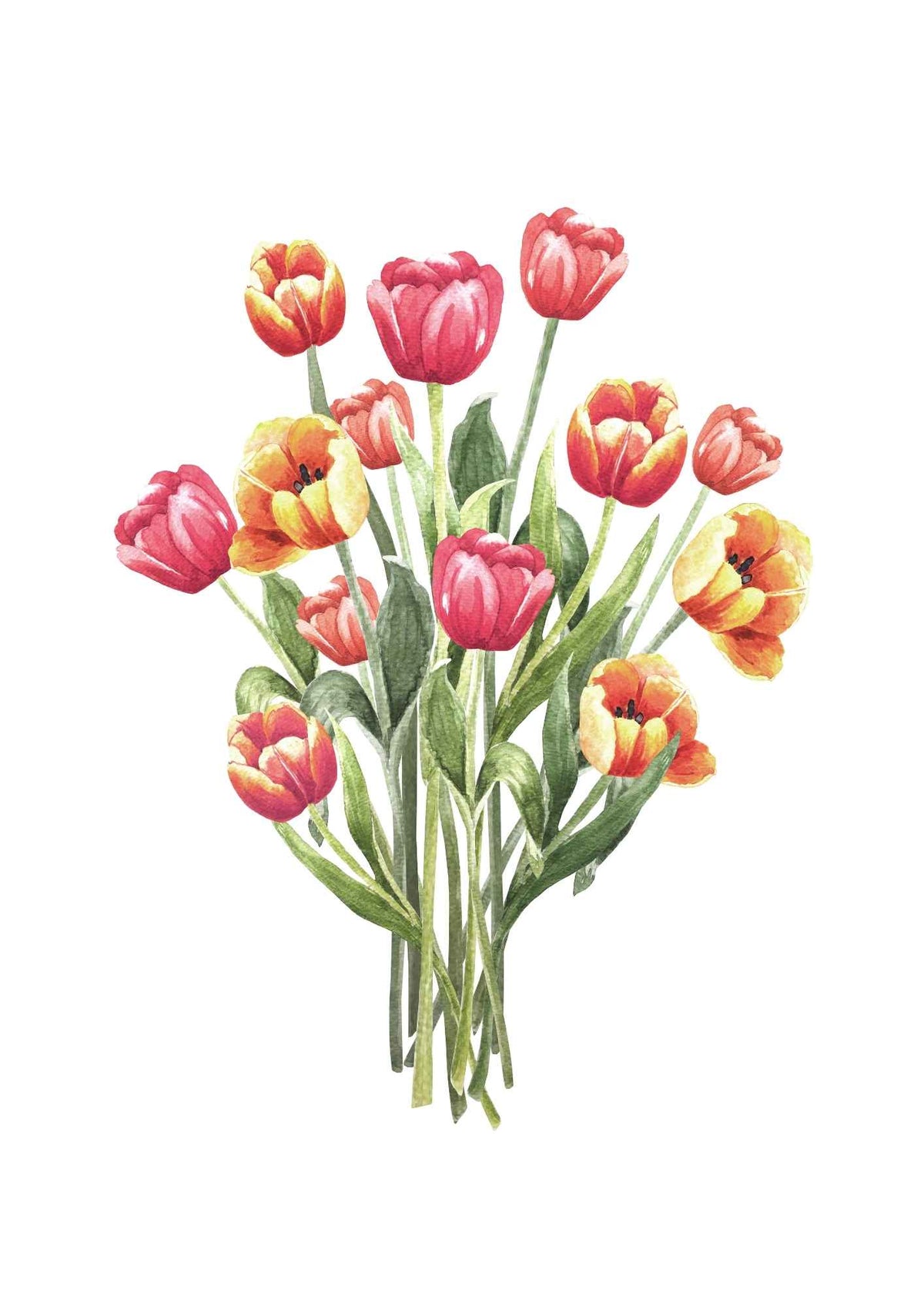 Tulipaner bouquet