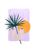 Palme og sol
