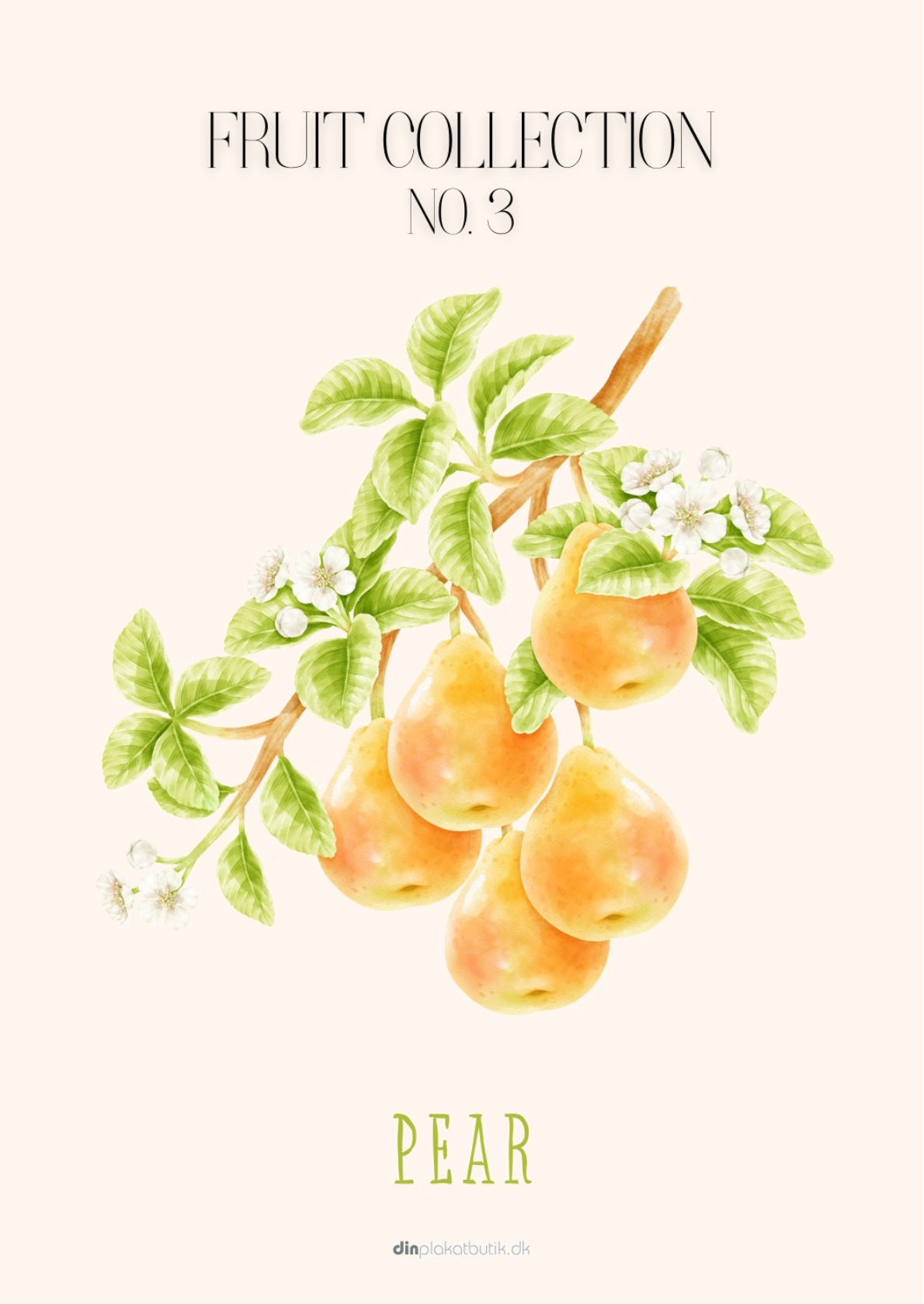 Frugtplakat - Pære