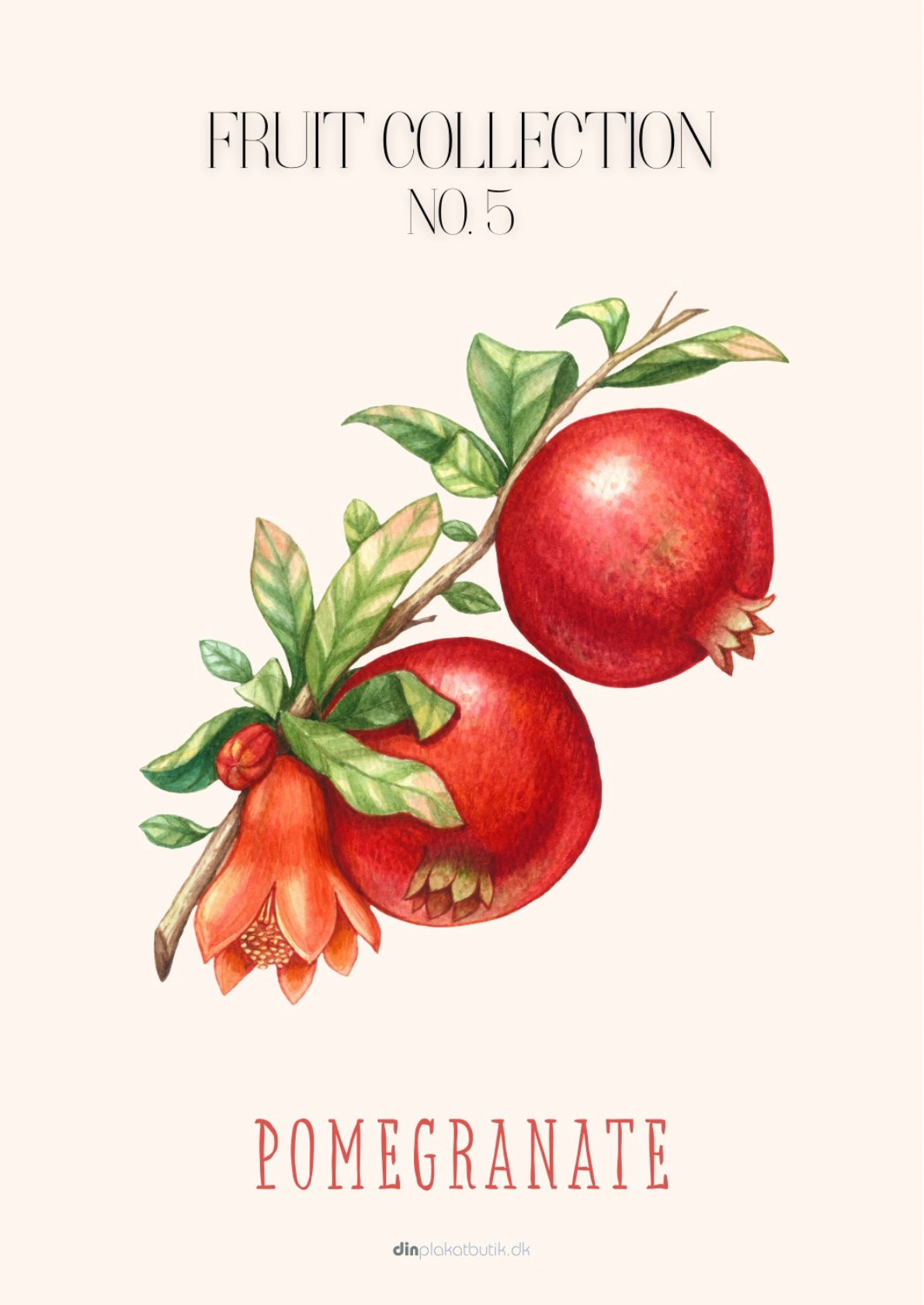 Frugtplakat - Granatæble