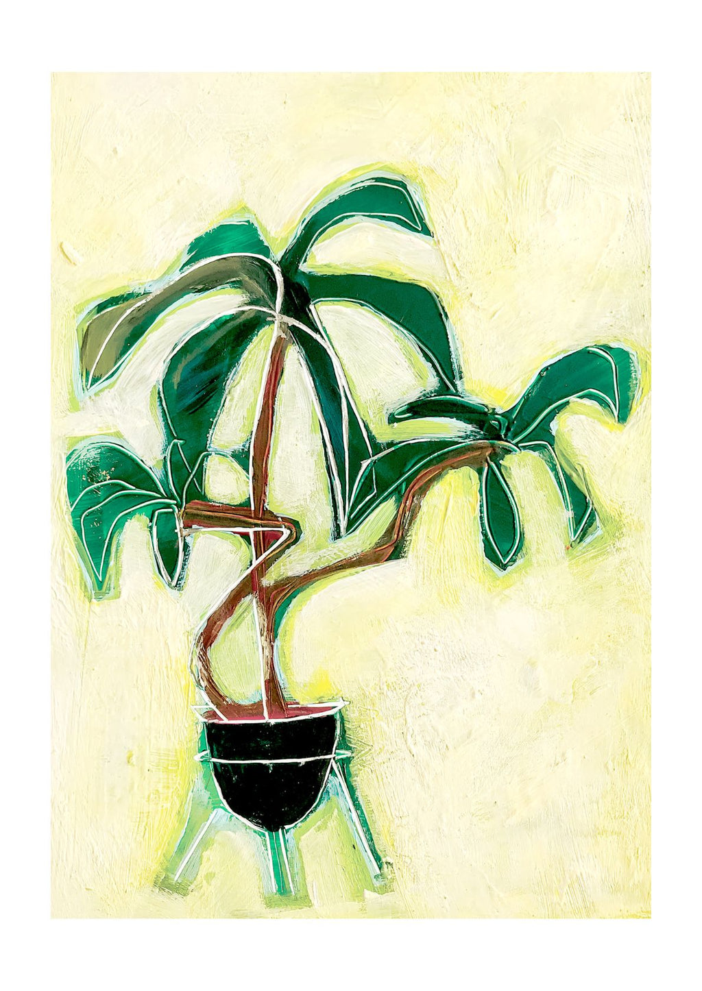 Palmeplante i potte