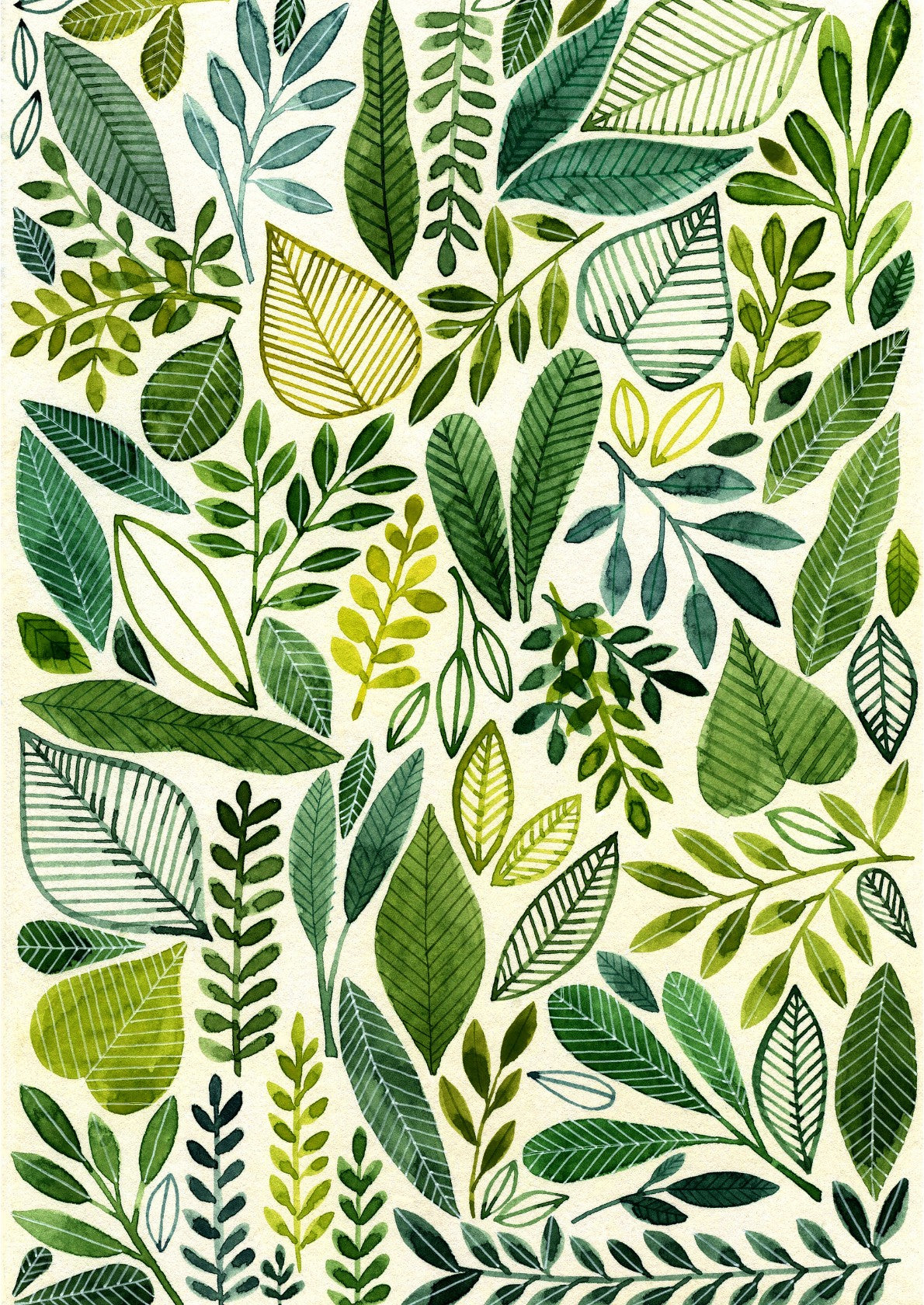 Various Green Leaves