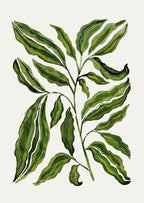 Sprig Of Leaves