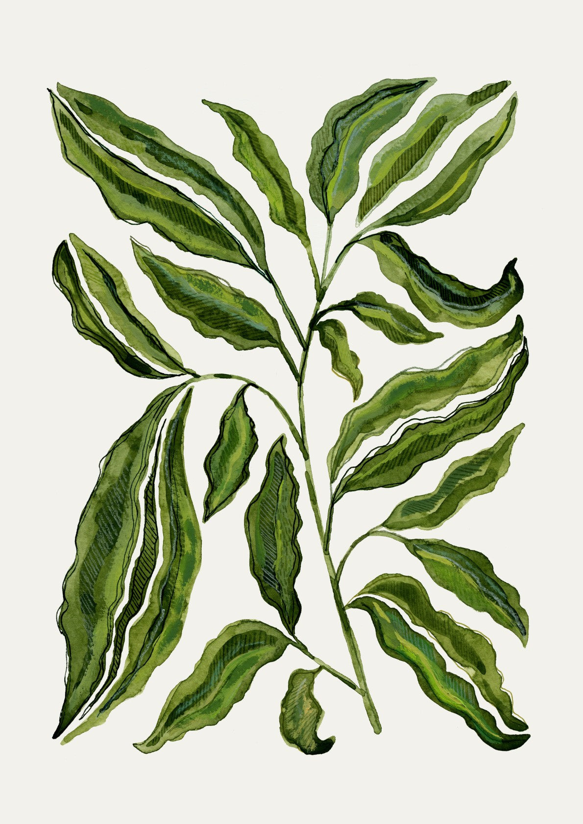 Sprig Of Leaves
