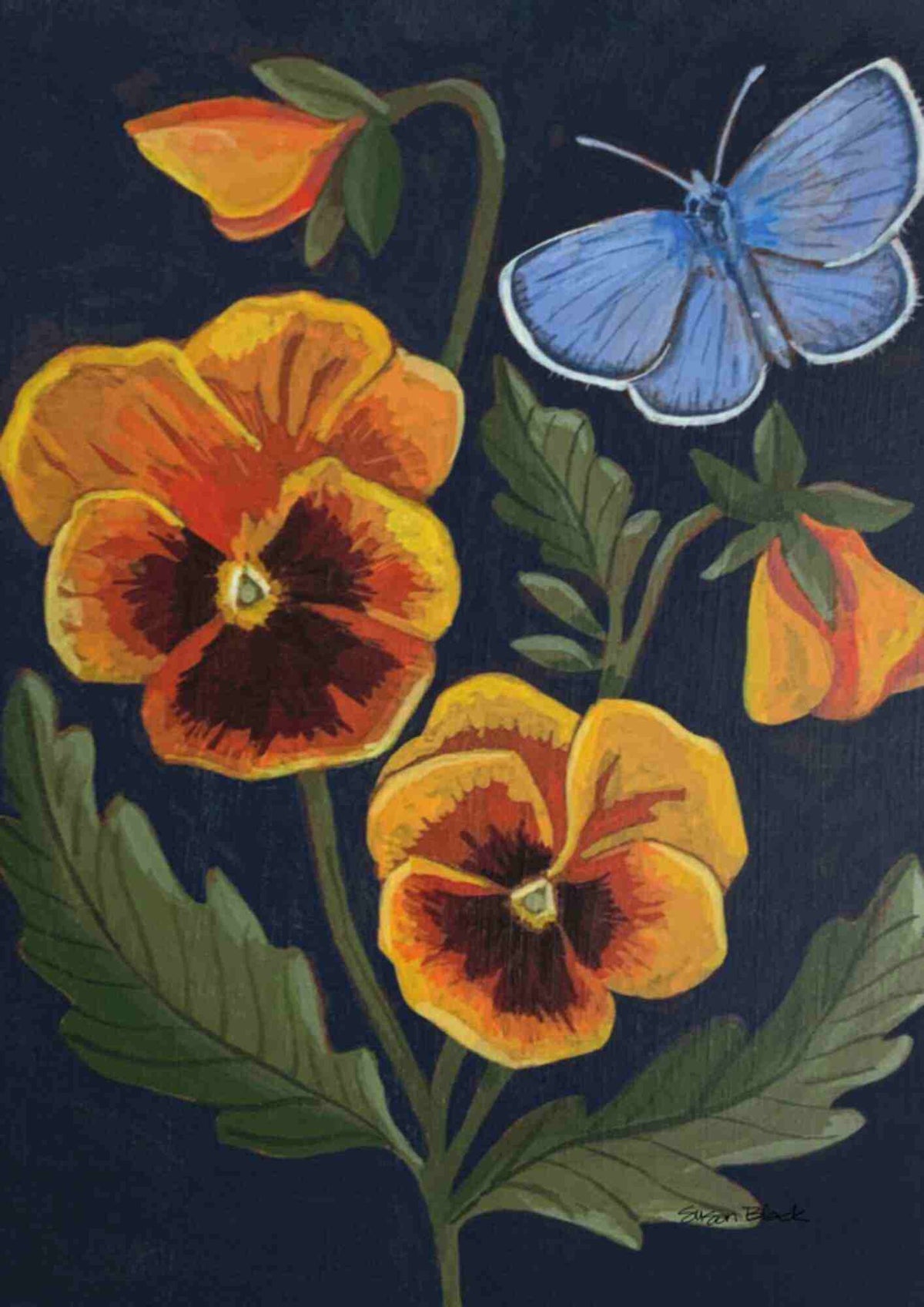 Stedmoderblomst & blåfugl