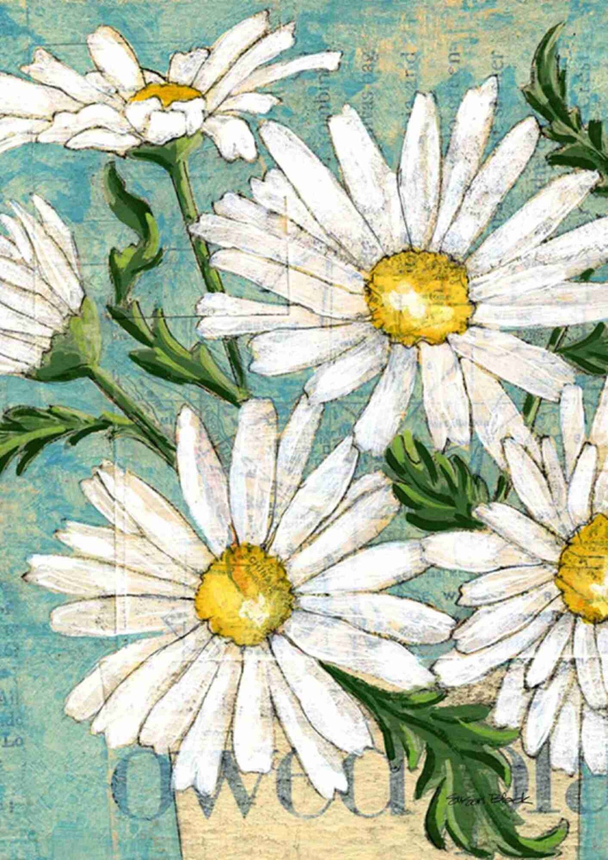 Sommer Margueritter