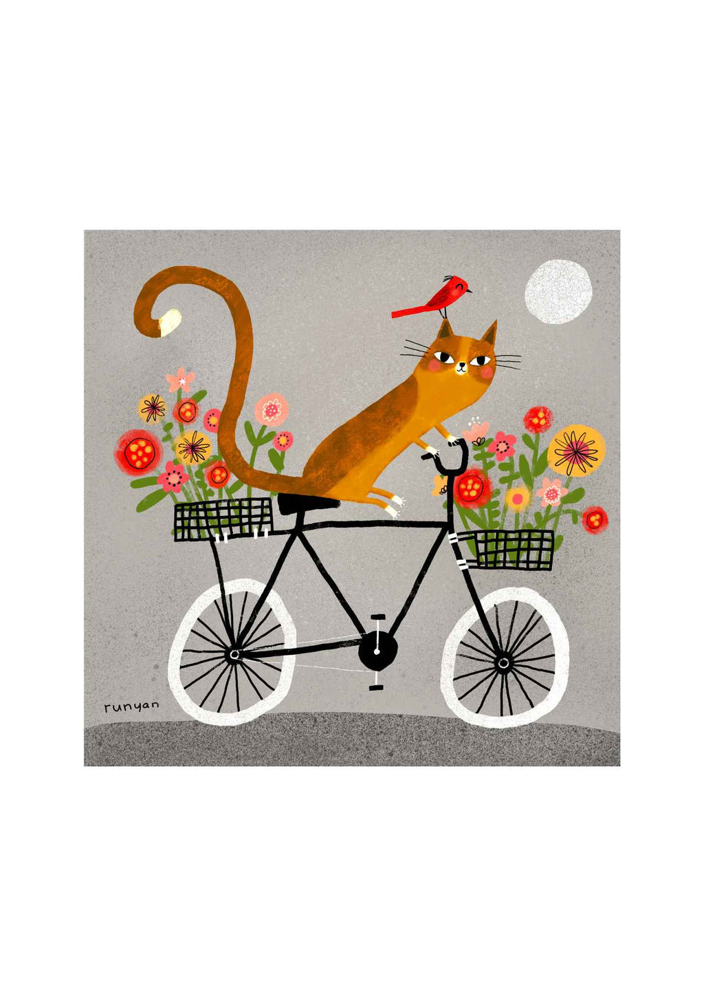 Kat på cykel
