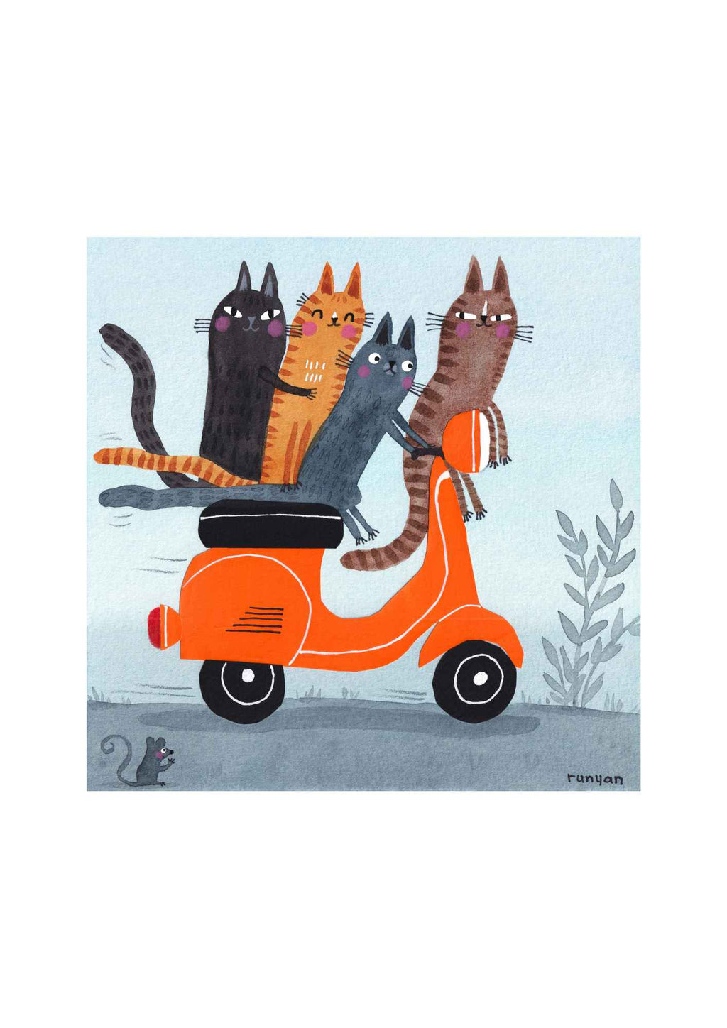 Katte på scooter