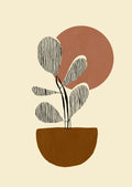 Plante i potte
