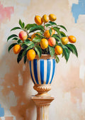 Citrustræ i krukke