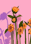 Solhætter Blomster