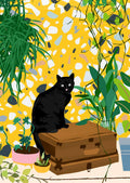 Katten på skatten