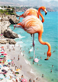 Flamingo Strand