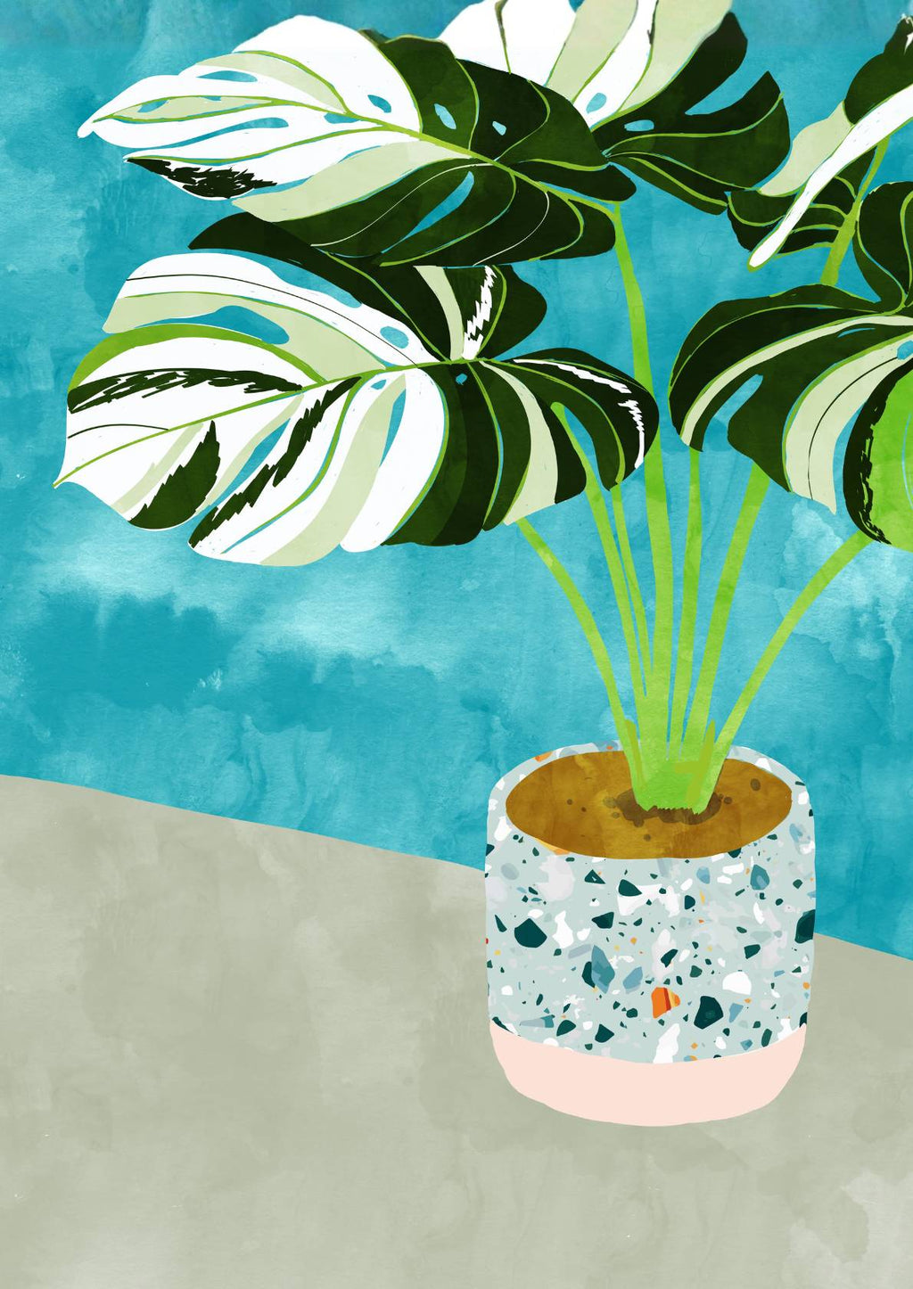 Monstera Plante