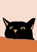 Sort Kat