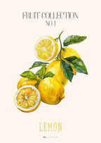 Frugtplakat - Citron