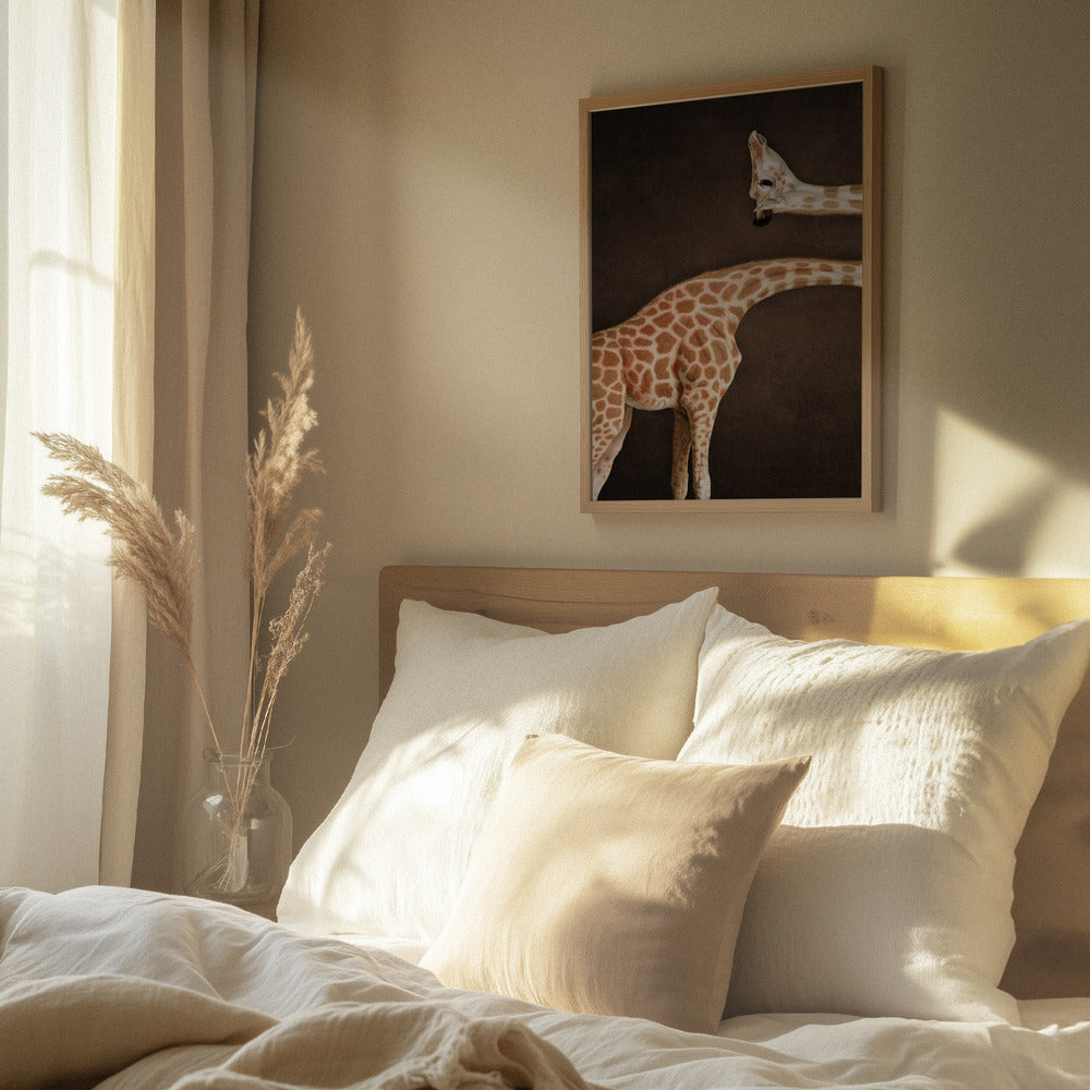 Giraffer i nærbillede