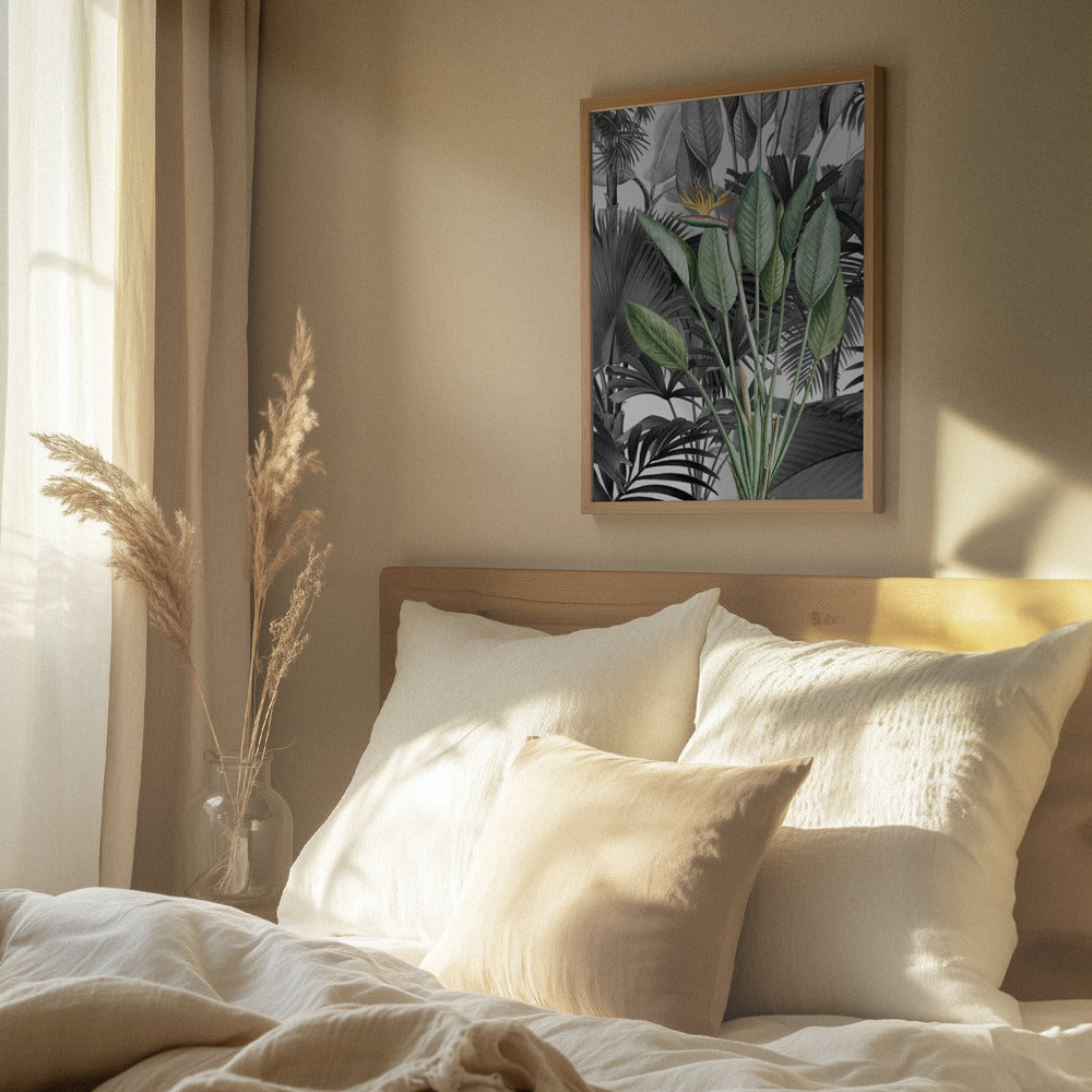 Strelitzia Blomst