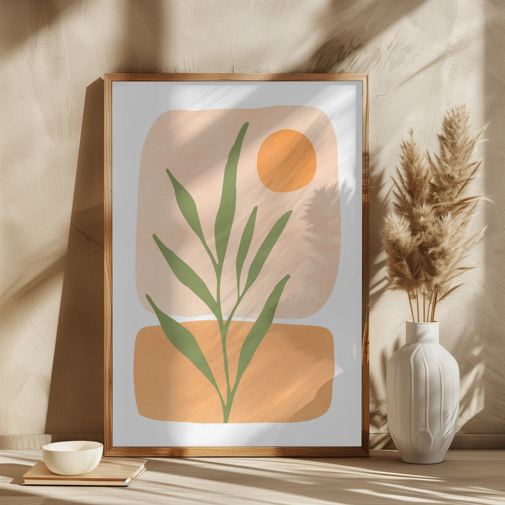 Plante i morgensol