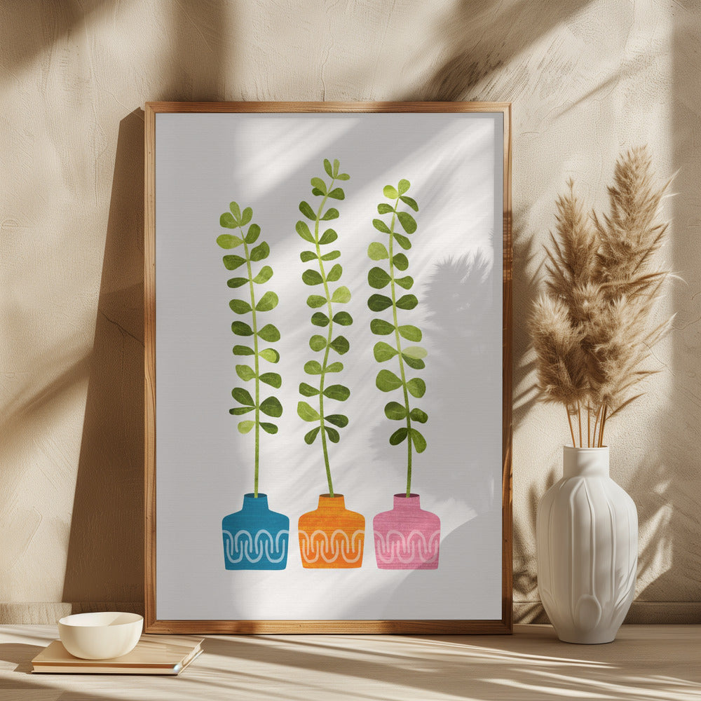 Sukkulente planter