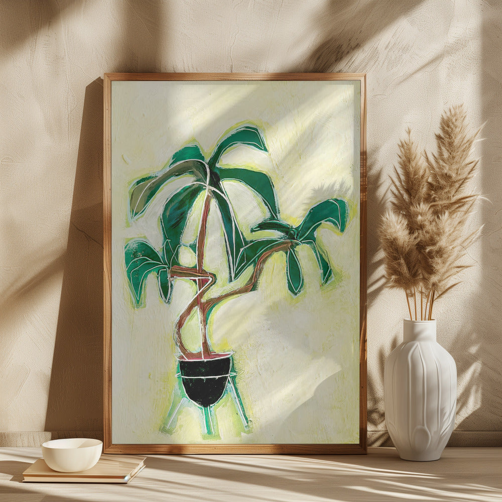 Palmeplante i potte
