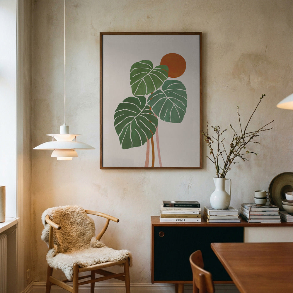 Monstera i solen