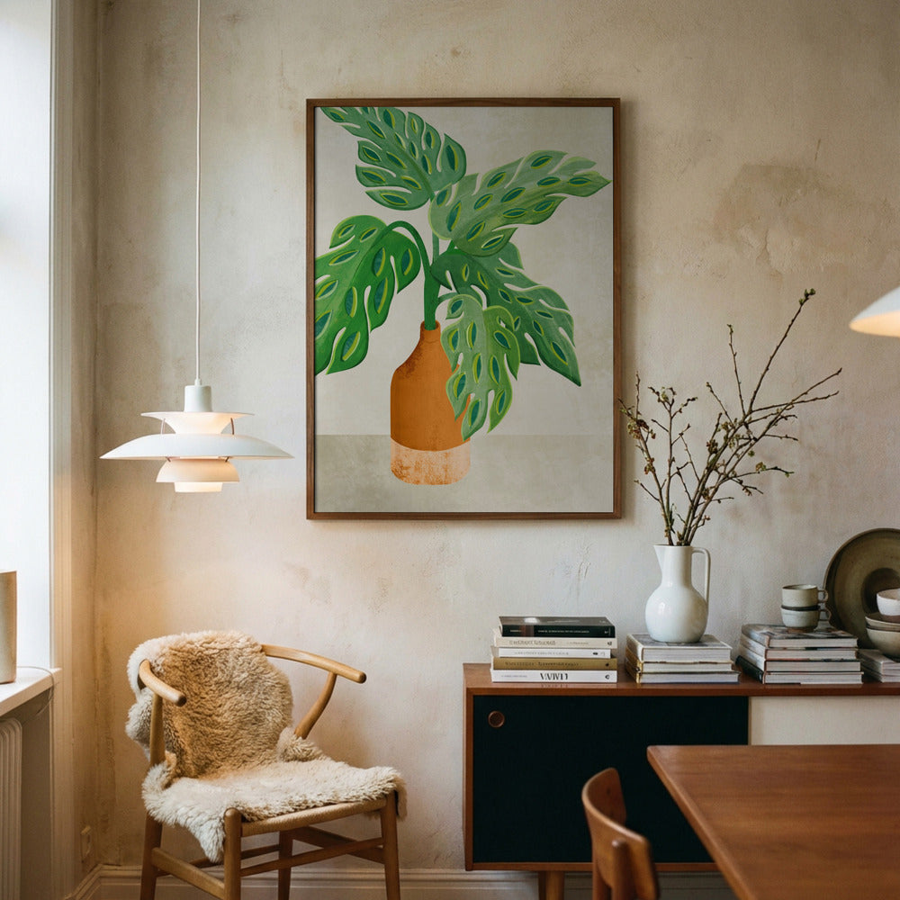 Monstera Plante
