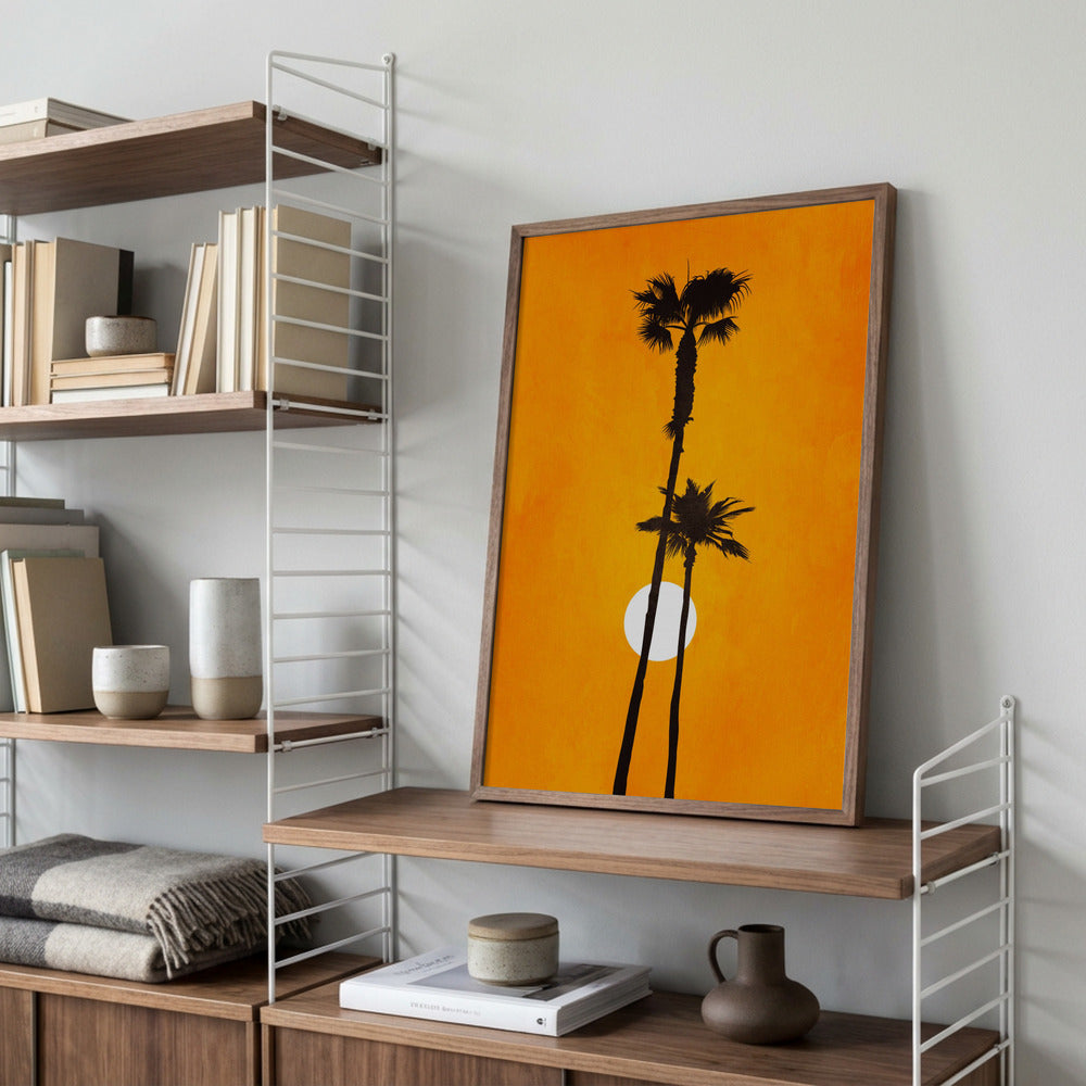 Palmer og solnedgang