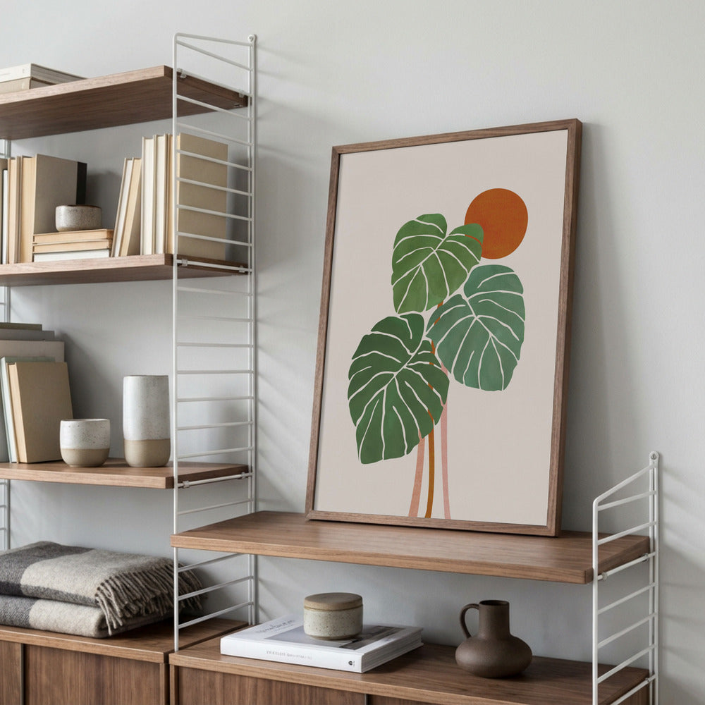 Monstera i solen