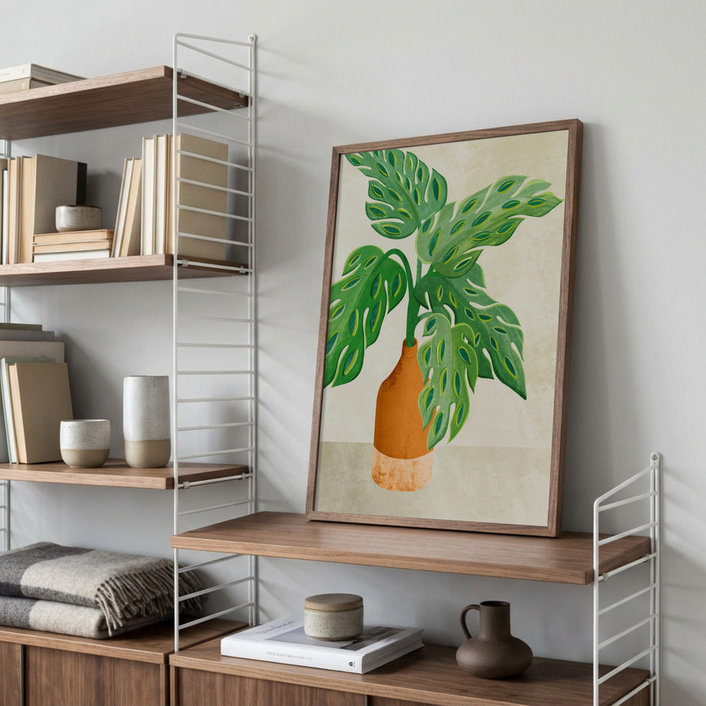Monstera Plante