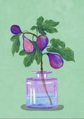 Figentræ i vase