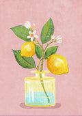 Citrusgrene i vase