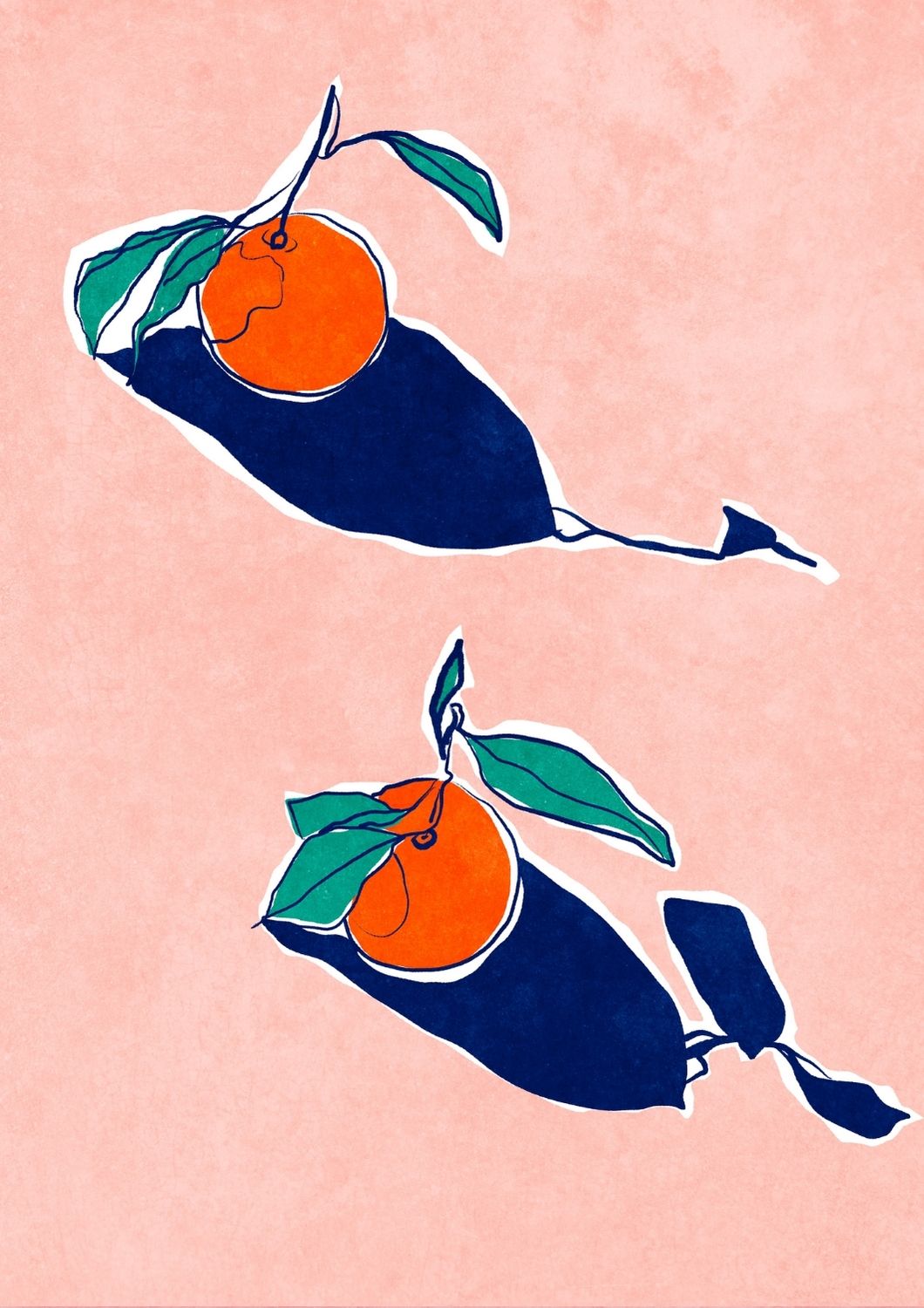 Citrusskyggen